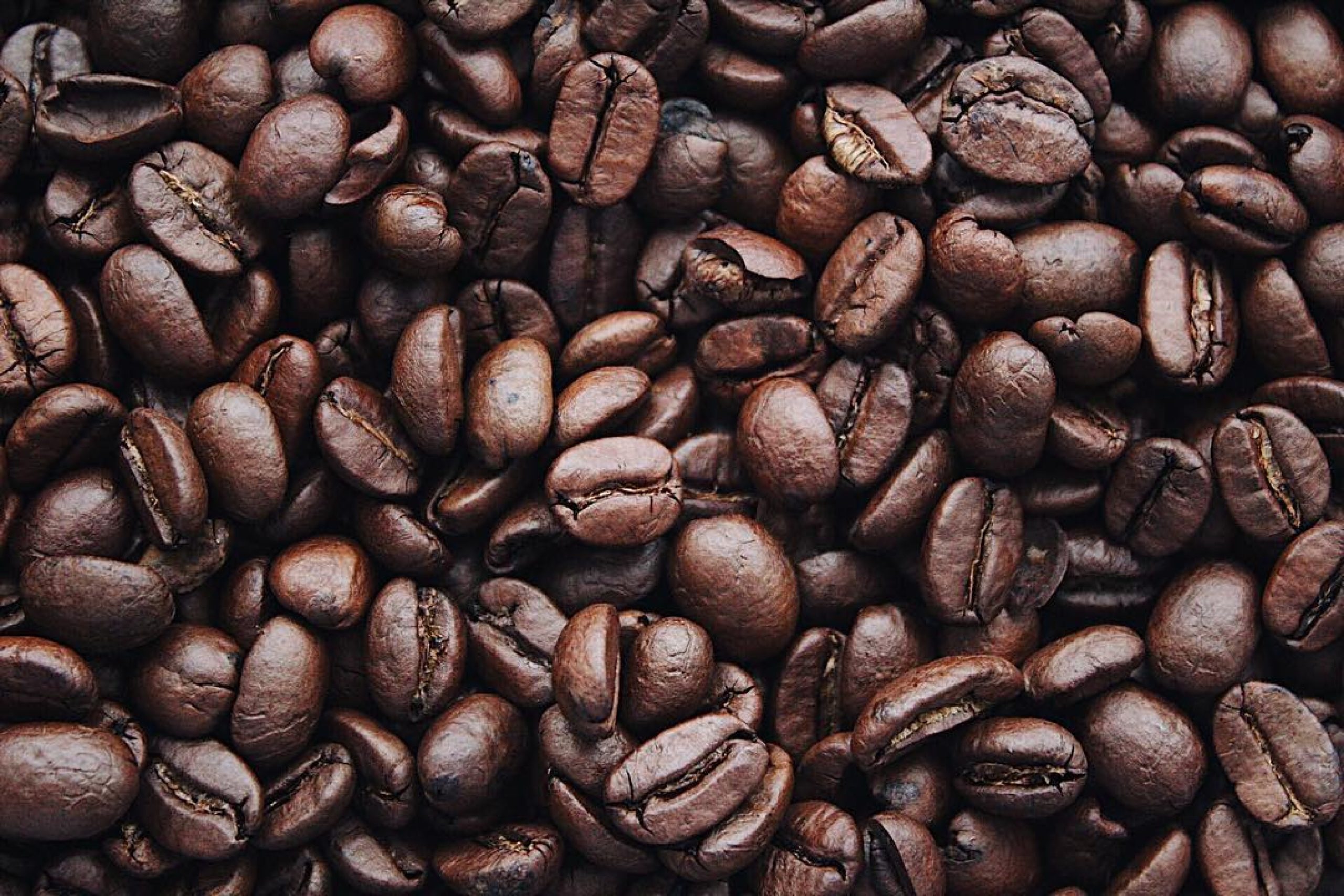 The Science of Coffee Brewing: How to Brew the Perfect Cup